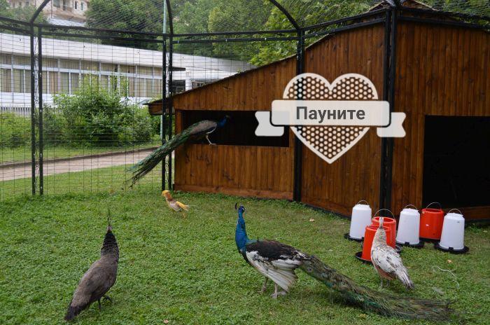 Д И В 1 - D & V 1 Apartment Sandanski Exterior foto
